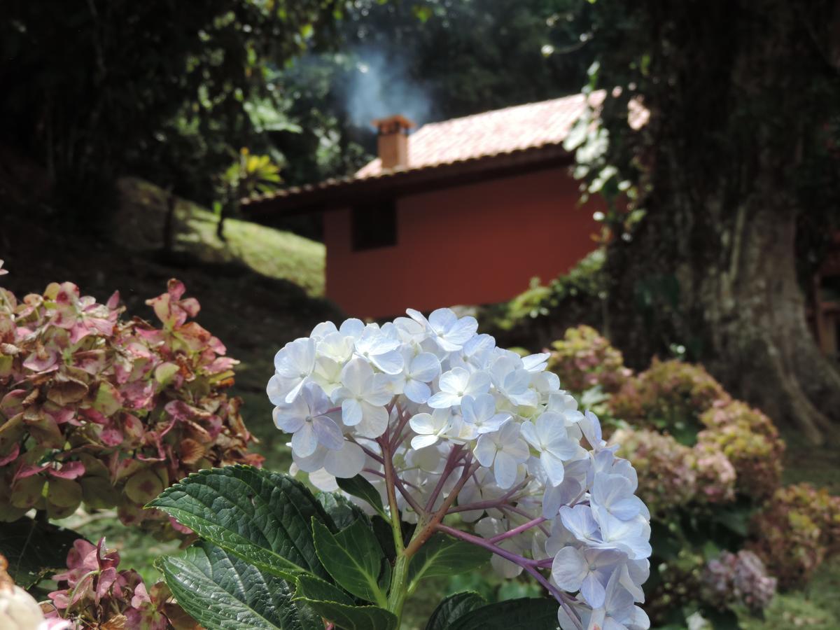 Chale Truta Da Floresta Visconde De Maua Bagian luar foto
