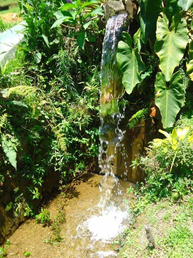 Chale Truta Da Floresta Visconde De Maua Bagian luar foto