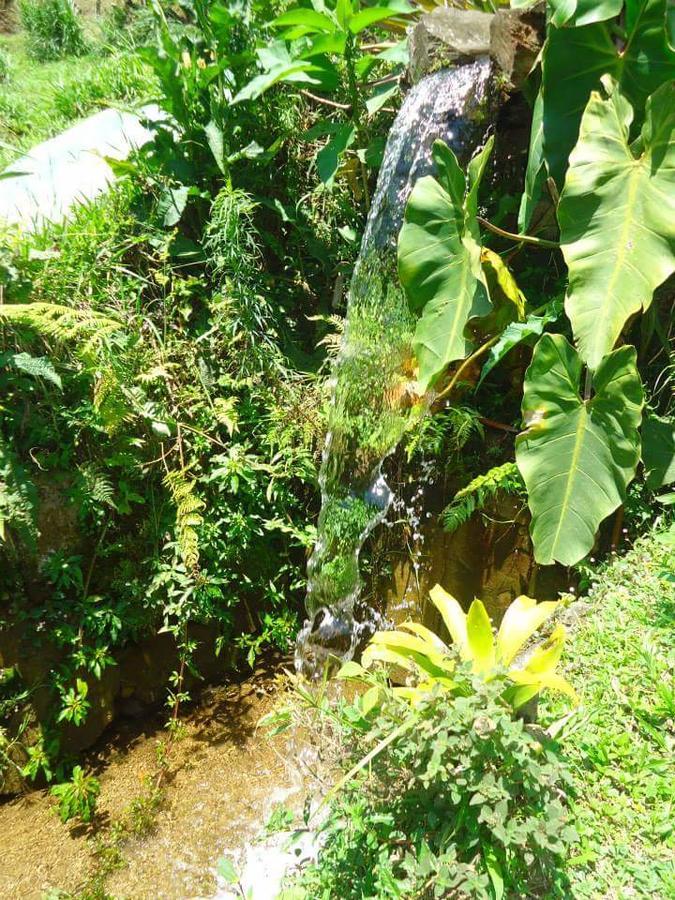 Chale Truta Da Floresta Visconde De Maua Bagian luar foto