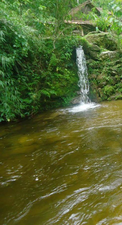 Chale Truta Da Floresta Visconde De Maua Bagian luar foto